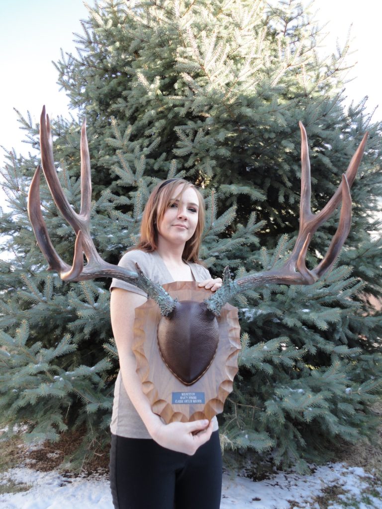 Classic Antler Mounts – The Finest in Professional Skull Taxidermy and ...